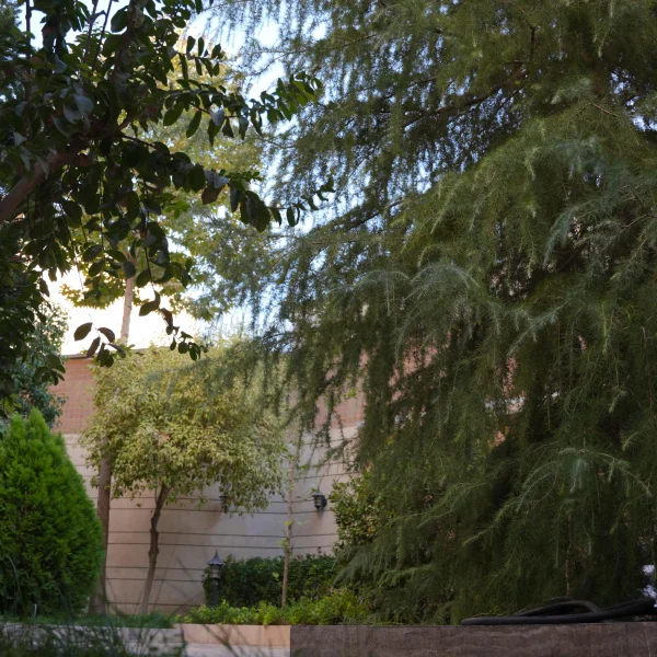 پروژه شریعتی